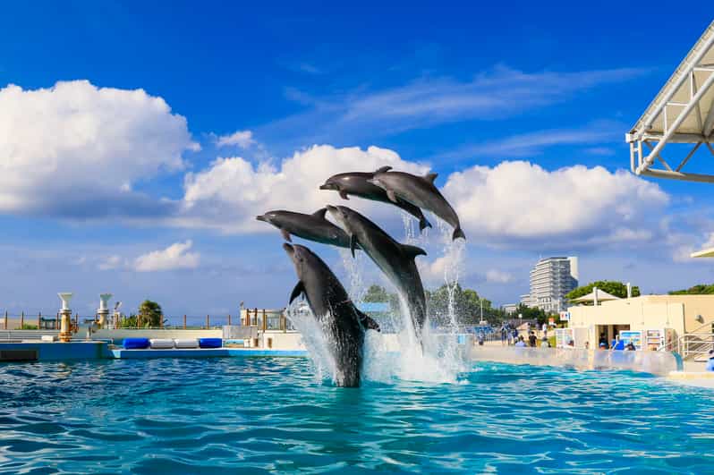 <1Dya Tour>Churaumi Aquarium, Cape Manzamo, American Village - Cape Manzamo and the famous Elephant Rock