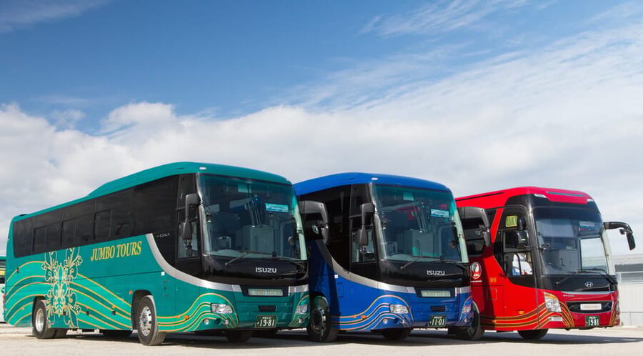 <1Dya Tour>Churaumi Aquarium, Cape Manzamo, American Village - Three hours at Ocean Expo Park