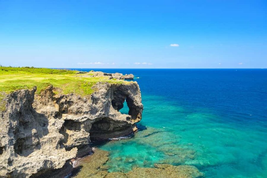 <1Dya Tour>Churaumi Aquarium, Cape Manzamo, American Village - The Bise Fukugi Tree Road in 30 minutes