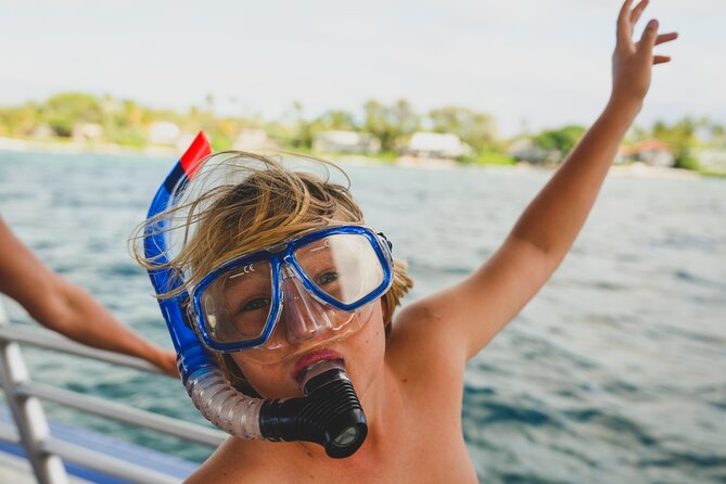 2-Hour Mauna Kea One Stop Sealife Snorkel Adventure - Quick take: what matters most
