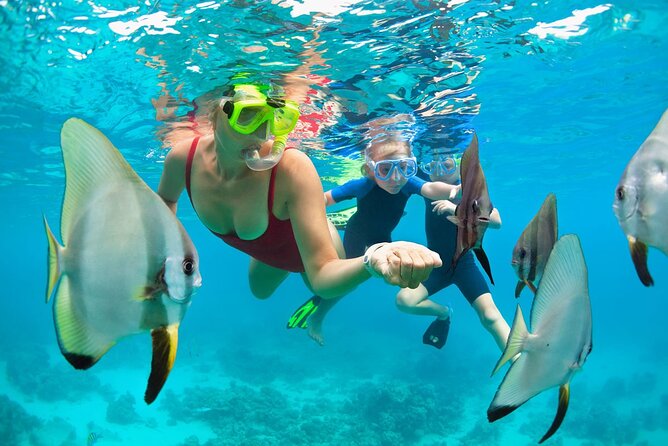 2-Hour Mauna Kea One Stop Sealife Snorkel Adventure - Kaunaoa Bay and the snorkeling setup