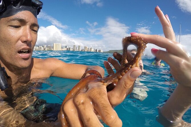 2-Hour Mauna Kea One Stop Sealife Snorkel Adventure - Puukohola Heiau from the water