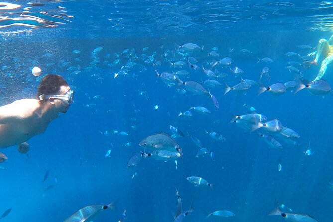 3-Hour Northwest Coast Excursion: Aquarium and Islas Margaritas - Starting in Sant Antoni at 11 a.m.