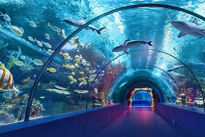 4-Hour Guided Antalya Aquarium Tour - Why the aquarium makes a good Antalya break