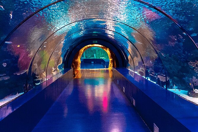 4-Hour Guided Antalya Aquarium Tour - The two-hour aquarium visit