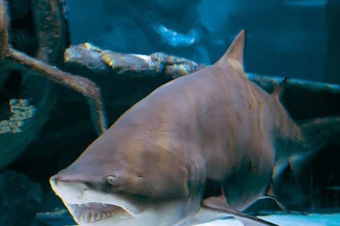 4-Hour Guided Antalya Aquarium Tour - Who will enjoy this tour most