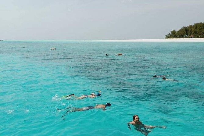5-Hour Snorkeling, Swimming with Dolphins and Sea Turtles Aquarium - What this Zanzibar morning is really like