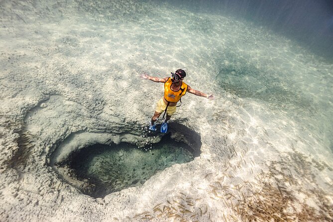 5-in-1 Cancun Snorkeling Tour with Sea Life & Transport Included - Key details before you book