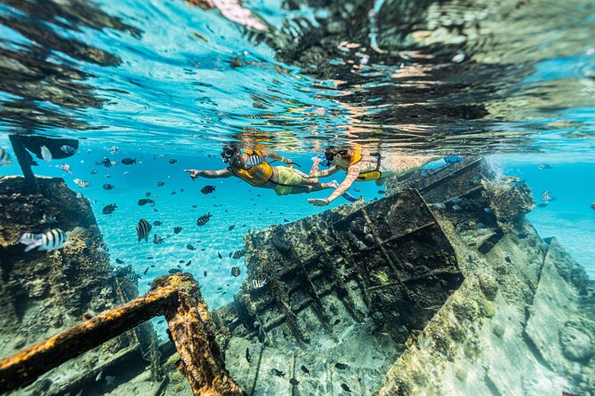 5-in-1 Cancun Snorkeling Tour with Sea Life & Transport Included - Turtle country, with rays as a possible bonus