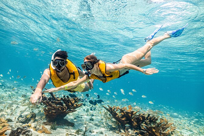 5-in-1 Cancun Snorkeling Tour with Sea Life & Transport Included - The underwater cenote finishes the route