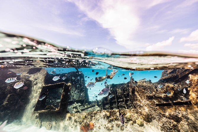 5-in-1 Cancun Snorkeling Tour with Sea Life & Transport Included - Weather, timing, and the small-group advantage