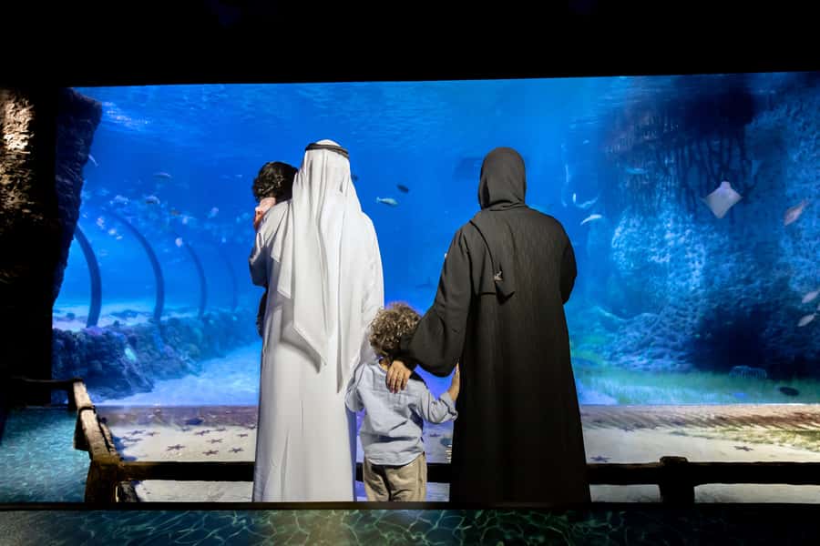 Abu Dhabi: National Aquarium Entrance Ticket - Key points to know before you go