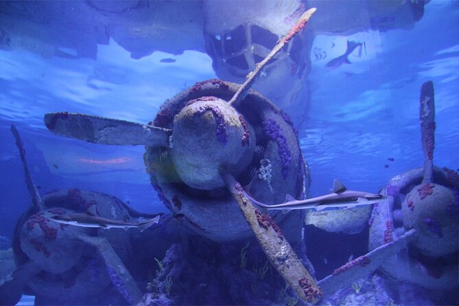 Alexander Waterfall and Antalya Aquarium Day Tour from Side - Leaving Side for a seven-hour Antalya outing