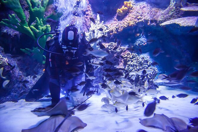 Alexander Waterfall and Antalya Aquarium Day Tour from Side - Antalya Aquarium and the famous tunnel