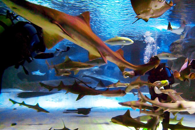 Alexander Waterfall and Antalya Aquarium Day Tour from Side - Weather, cancellation, and useful booking details