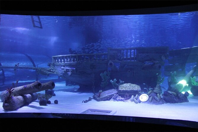 Alexander Waterfall and Antalya Aquarium Day Tour from Side - Alexander Waterfall: a quick stop by the Mediterranean