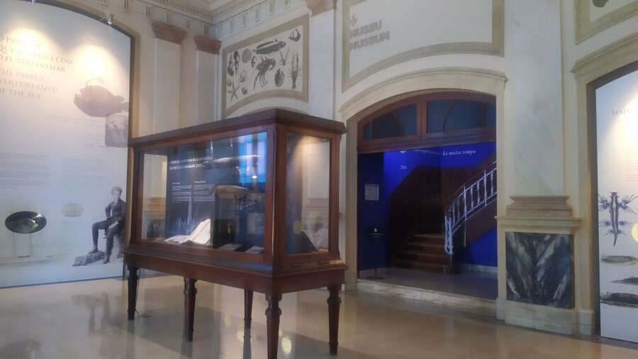 Algés: Vasco da Gama Aquarium Entry Ticket - Starting at the ticket office in Algés