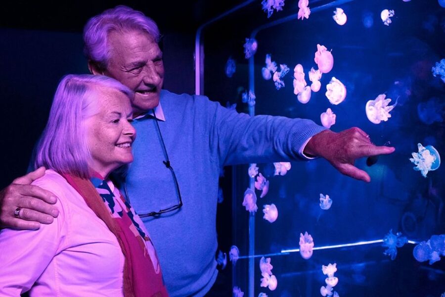 American Dream: SEA LIFE® Aquarium Entry Ticket - Key things to know before you go