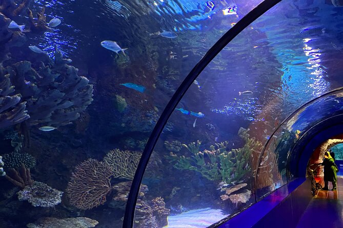 Antalya Aquarium and Face to Face Wax Museum Private Transfer - Is $72.25 per person good value?