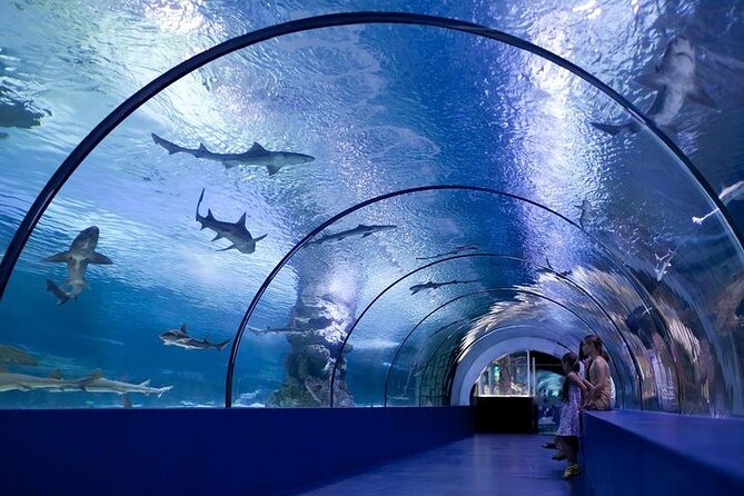 Antalya Aquarium and Face to Face Wax Museum Ticket - Key points at a glance