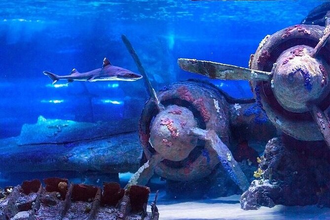 Antalya Aquarium and Face to Face Wax Museum Ticket - Inside Antalya Aquarium’s giant aquatic complex