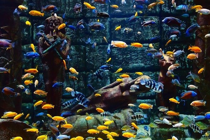 Antalya Aquarium and Face to Face Wax Museum Ticket - Who will enjoy this outing most?