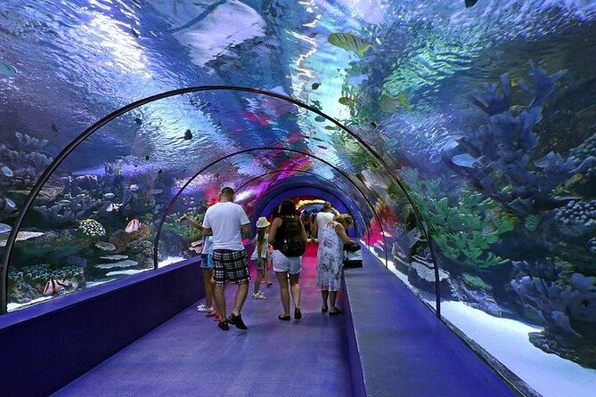 Antalya Aquarium and Face to Face Wax Museum Ticket - Opening hours and the best time to go