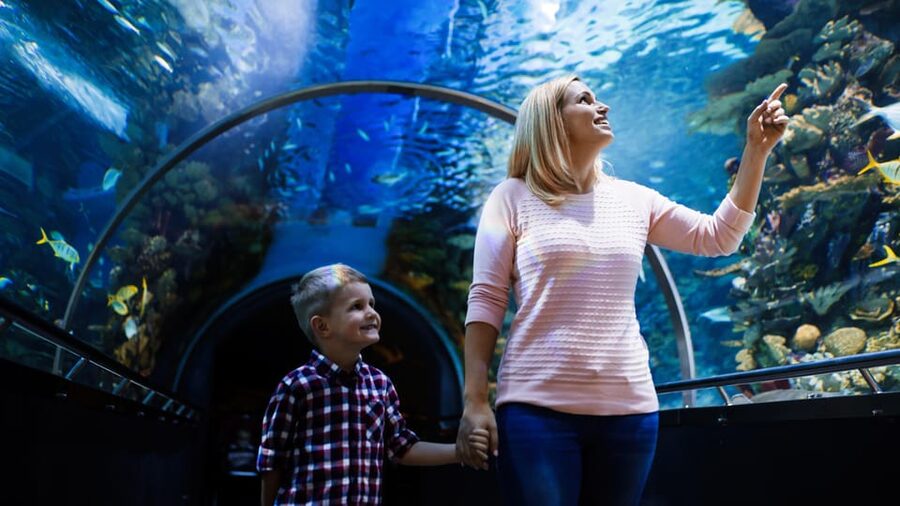 Antalya: Aquarium and Wax Museum Entry Ticket - Key points at a glance