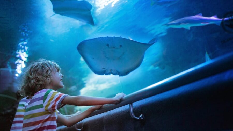 Antalya: Aquarium and Wax Museum Entry Ticket - Starting with Antalya’s enormous aquarium tank