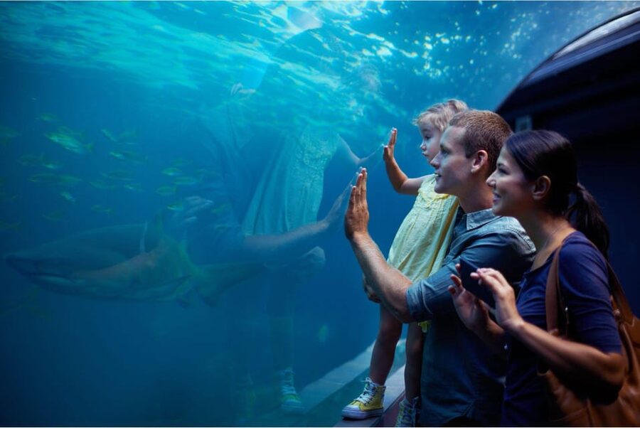 Antalya: Aquarium and Wax Museum Entry Ticket - Themed zones from coral reefs to Atlantis