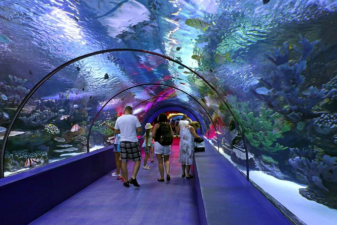 Antalya: Aquarium Ticket With Optional Transfer - What the Antalya Aquarium experience includes