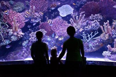 Antalya: Aquarium Ticket With Optional Transfer