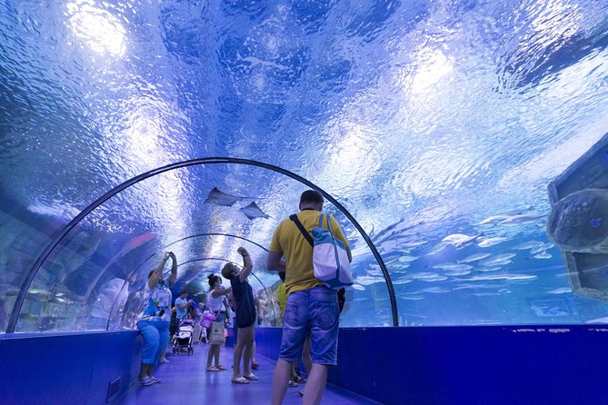 Antalya: Aquarium Ticket With Optional Transfer - Who should book this outing?