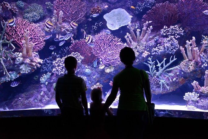 Antalya: Aquarium Ticket With Optional Transfer - Wild Park, reptiles, and Snow World