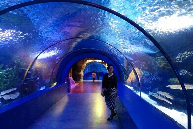 Antalya: Aquarium, Wax Museum & Combo Package Options - Snow World and the Ice Museum change the temperature fast