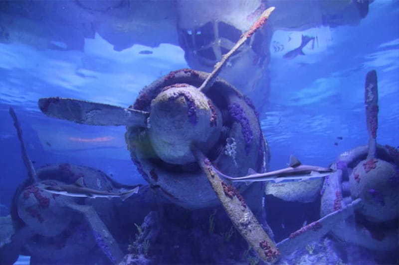 Antalya: Aquarium, Wax Museum & Combo Package Options - Who will enjoy this most?