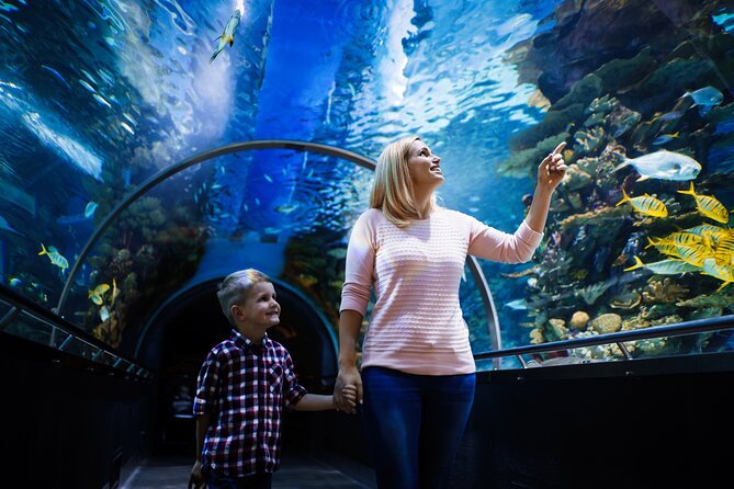 Antalya Half-Day Private City Tour with Aquarium Visit - Hidirlik Tower and the Mediterranean view