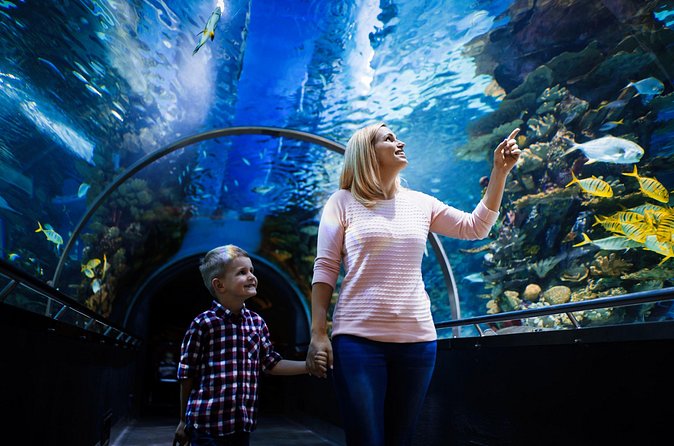 Antalya Half-Day Private City Tour with Aquarium Visit - Who will enjoy this tour most