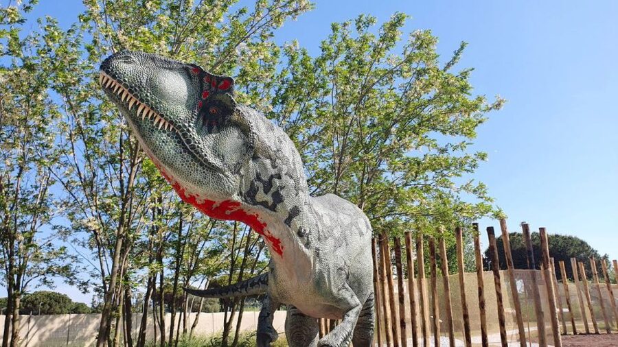 Aquarium of Cattolica Entry Ticket - Summer’s World of Dinosaurs adds outdoor time