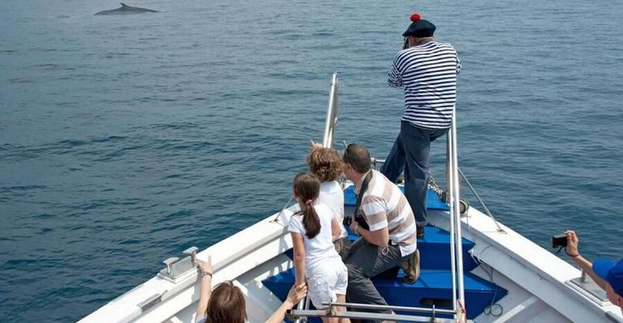 Aquarium of Genoa Ticket and Whale Watching Cruise - The pier next to the aquarium keeps the day simple