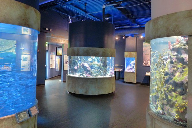 Aquarium of the Bay General Admission Ticket - What you get for $28.25 at Pier 39