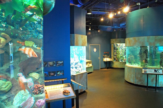 Aquarium of the Bay General Admission Ticket - Timing your visit around San Francisco’s waterfront