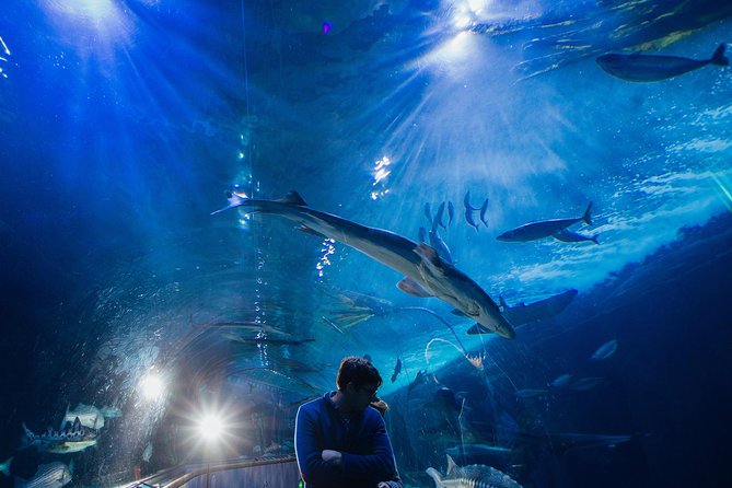 Aquarium of the Bay General Admission Ticket - Who should book this aquarium ticket?