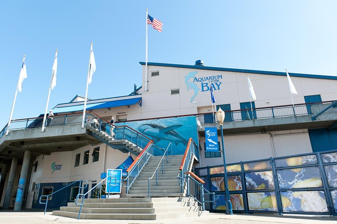 Aquarium of the Bay General Admission Ticket - Should you book the Aquarium of the Bay?