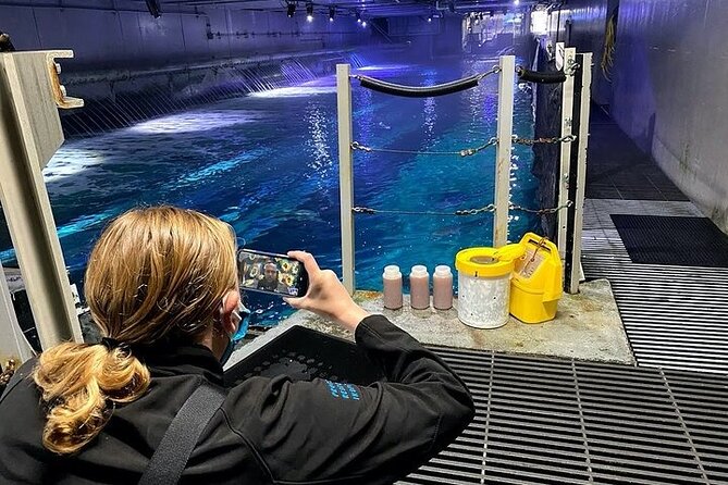 Aquarium of the Bay VIP Experience - River otter training closes the visit
