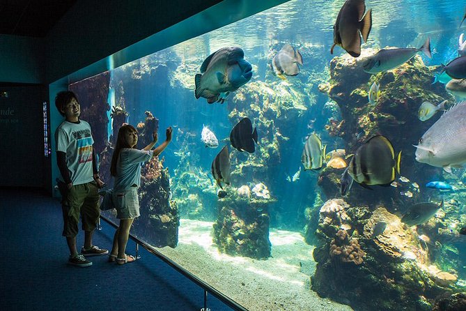 Aquarium Package in Nouméa's with Admission with Hop-on Hop-Off - Key Points Before You Book