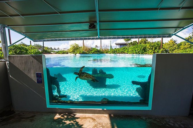 Aquarium Package in Nouméa's with Admission with Hop-on Hop-Off - Practical Tips for a Smoother Visit