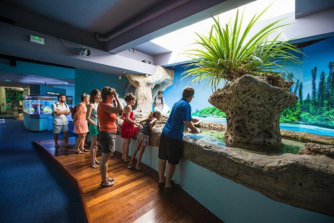 Aquarium Package in Nouméa's with Admission with Hop-on Hop-Off - Leaving the Cruise Terminal on Rue Jules Ferry
