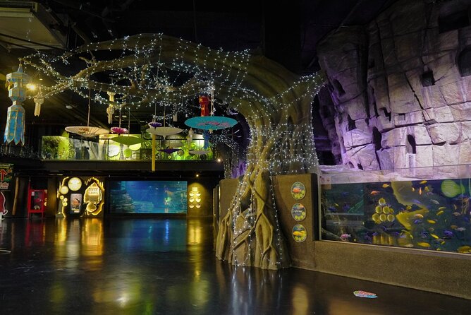 Aquarium Phuket and AR Trick Eye Museum Combo Tickets - Ocean and river displays give the aquarium a clear theme