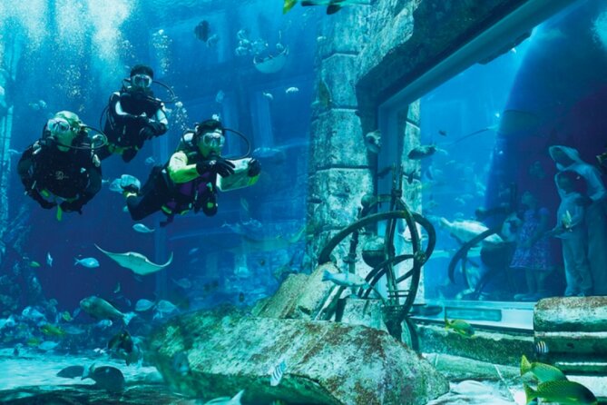 Atlantis Aquaventure and Lost Chambers Aquarium combo Ticket - Should You Book the Atlantis Combo?